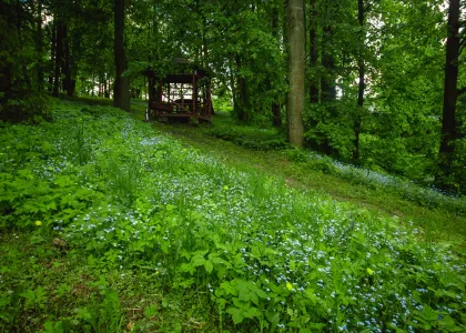 Номер
