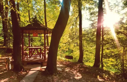 Беседка №12 «У пруда»