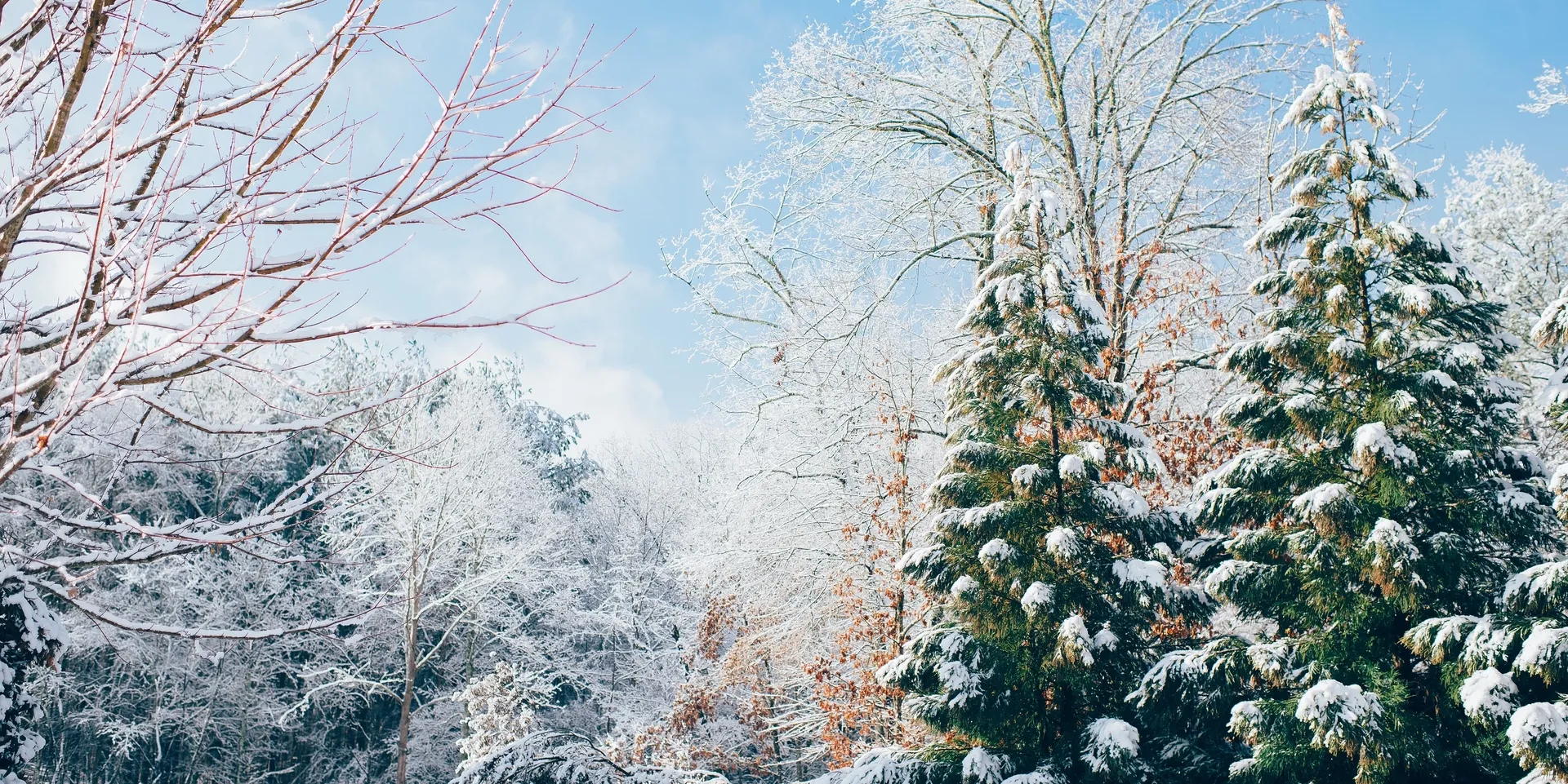 /articles/otpusk-v-podmoskove