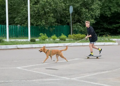 Номер 
